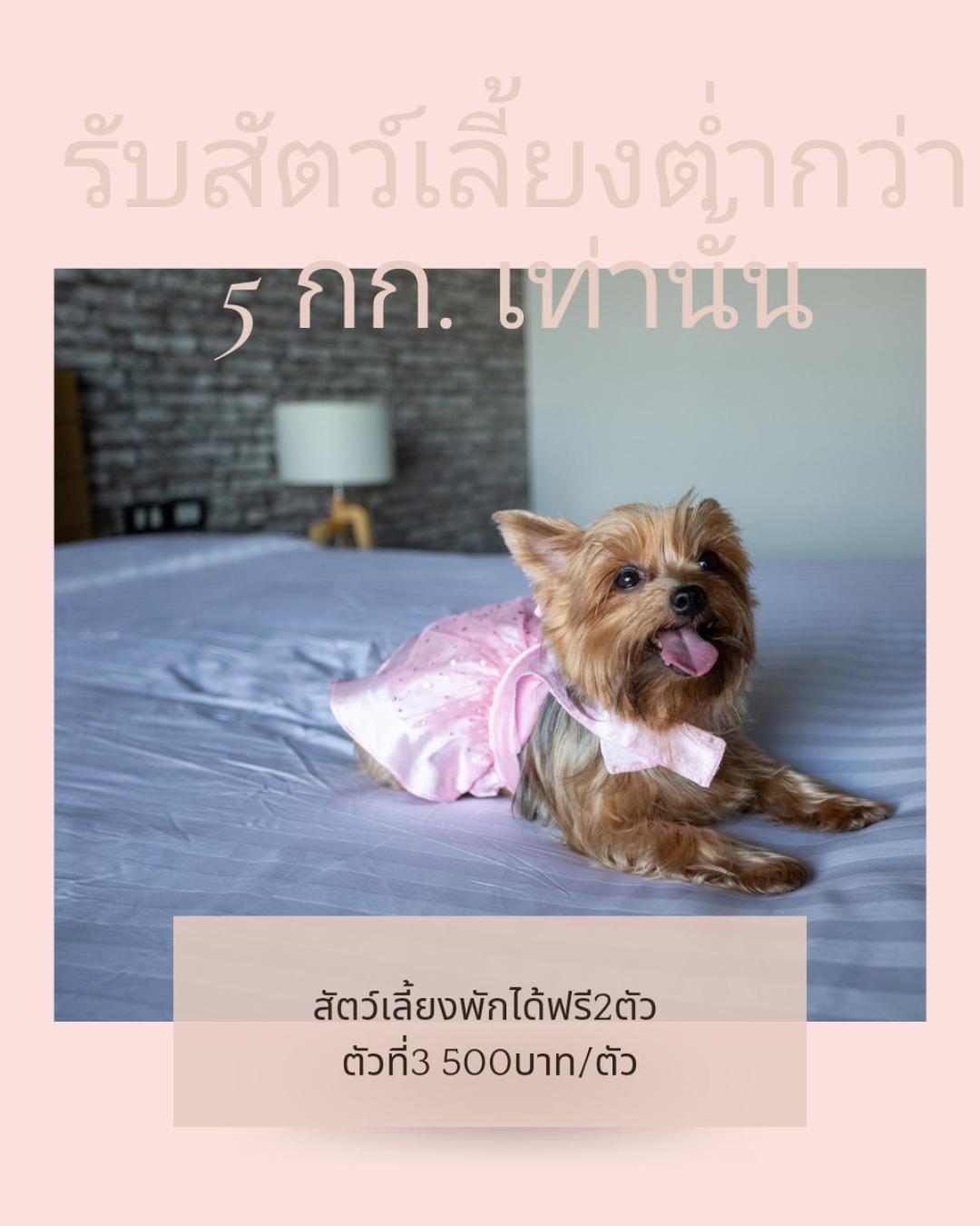 Get Zleep Premium Budget Hotel Chiang Mai Bagian luar foto